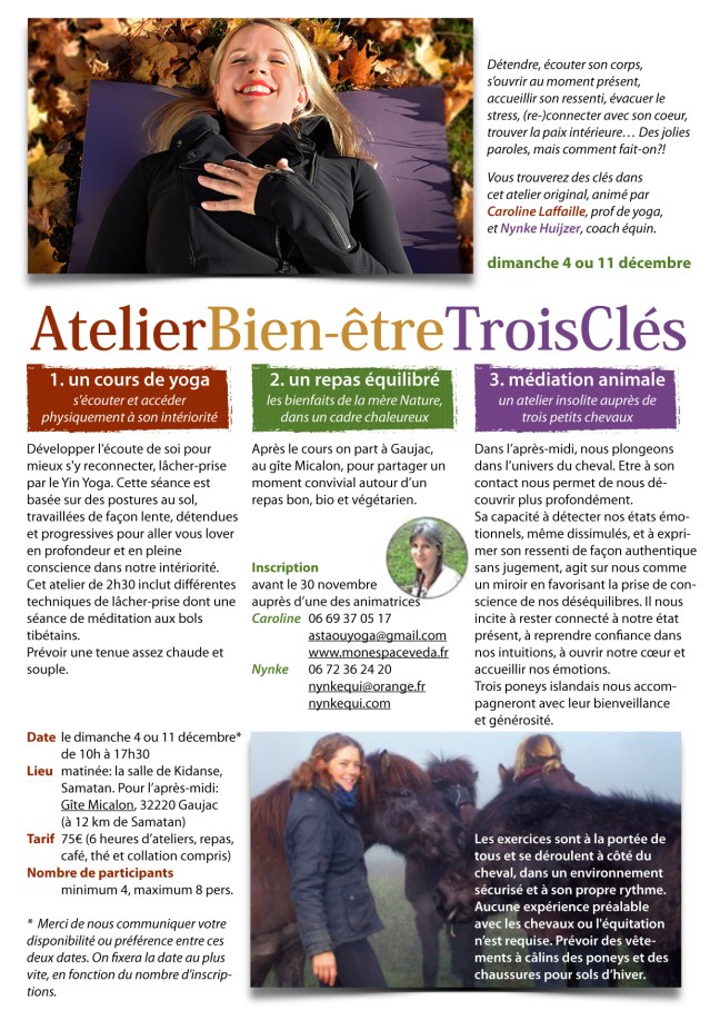 Flyer11/12/16V2.pages